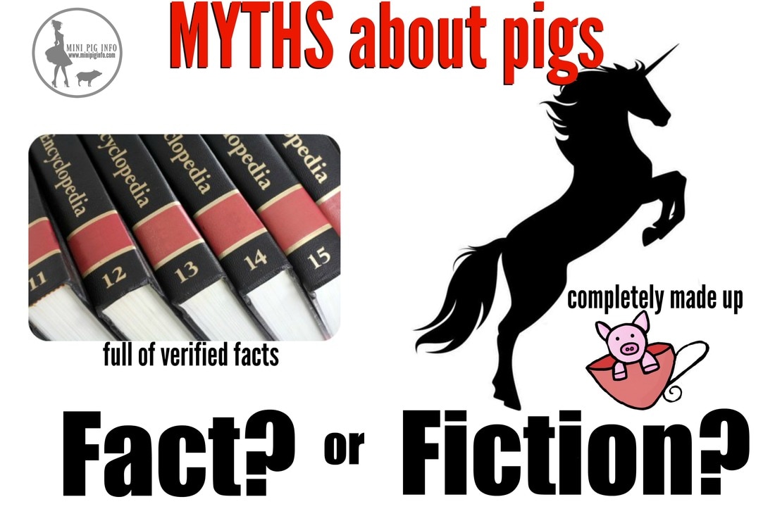 mythical hog